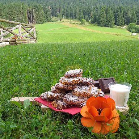 Al Bosco *