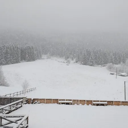 Bed & Breakfast Al Bosco *