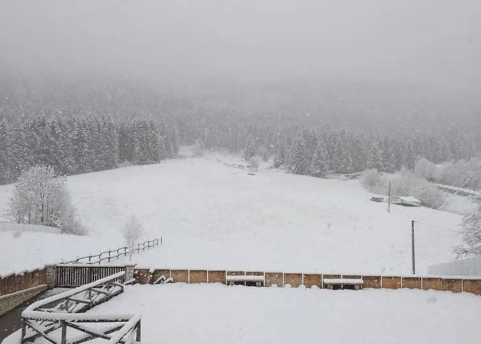 Nocleg ze śniadaniem Al Bosco *